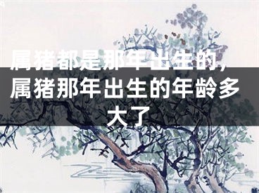 属猪都是那年出生的，属猪那年出生的年龄多大了