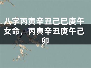 八字丙寅辛丑己巳庚午女命，丙寅辛丑庚午己卯