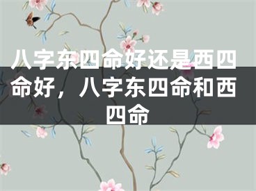 八字东四命好还是西四命好，八字东四命和西四命
