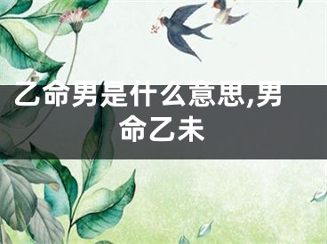 乙命男是什么意思,男命乙未