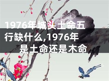 1976年城头土命五行缺什么,1976年是土命还是木命