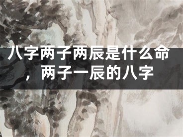 八字两子两辰是什么命，两子一辰的八字