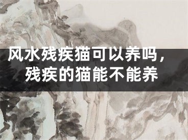 风水残疾猫可以养吗，残疾的猫能不能养