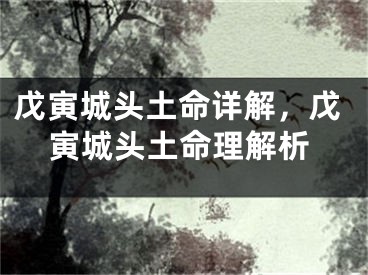 戊寅城头土命详解，戊寅城头土命理解析