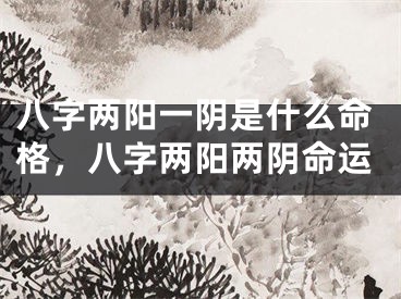 八字两阳一阴是什么命格，八字两阳两阴命运