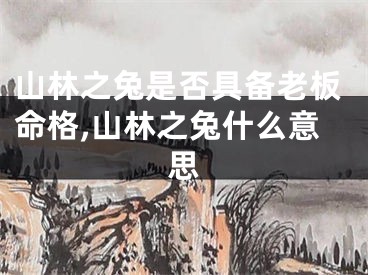 山林之兔是否具备老板命格,山林之兔什么意思