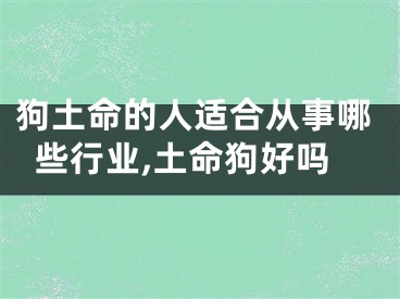 狗土命的人适合从事哪些行业,土命狗好吗