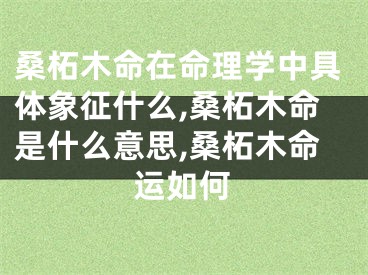 桑柘木命在命理学中具体象征什么,桑柘木命是什么意思,桑柘木命运如何