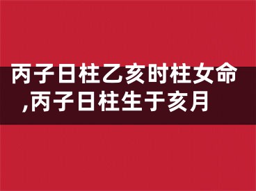 丙子日柱乙亥时柱女命,丙子日柱生于亥月