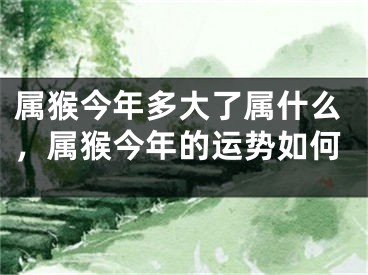 属猴今年多大了属什么,属猴今年的运势如何