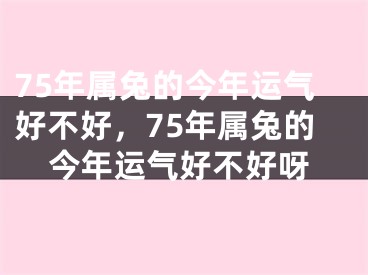 75年属兔的今年运气好不好，75年属兔的今年运气好不好呀