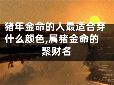 猪年金命的人最适合穿什么颜色,属猪金命的聚财名