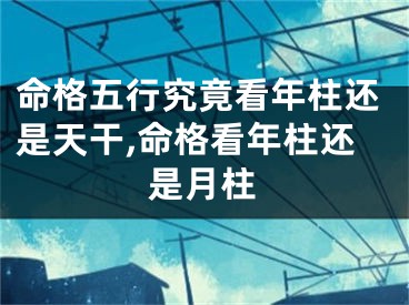 命格五行究竟看年柱还是天干,命格看年柱还是月柱