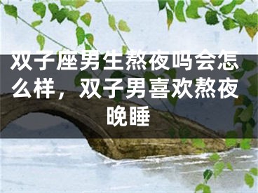 双子座男生熬夜吗会怎么样,双子男喜欢熬夜晚睡