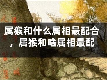 属猴和什么属相最配合，属猴和啥属相最配