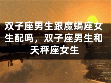双子座男生跟魔蝎座女生配吗，双子座男生和天秤座女生