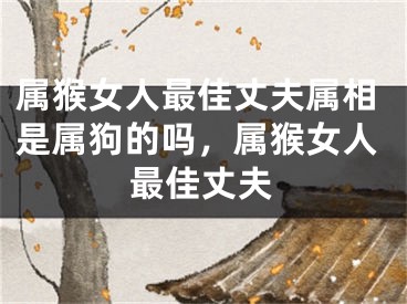 属猴女人最佳丈夫属相是属狗的吗,属猴女人最佳丈夫