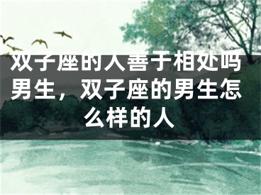 双子座的人善于相处吗男生,双子座的男生怎么样的人