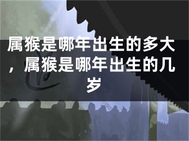 属猴是哪年出生的多大，属猴是哪年出生的几岁