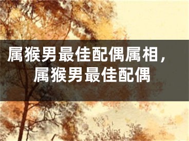 属猴男最佳配偶属相，属猴男最佳配偶