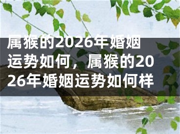 属猴的2026年婚姻运势如何，属猴的2026年婚姻运势如何样