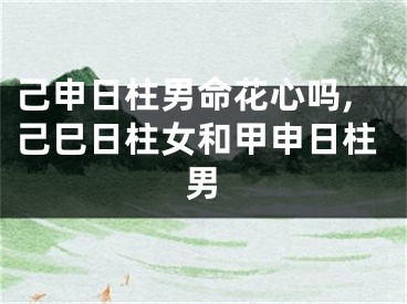 己申日柱男命花心吗,己巳日柱女和甲申日柱男