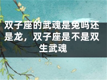 双子座的武魂是兔吗还是龙，双子座是不是双生武魂