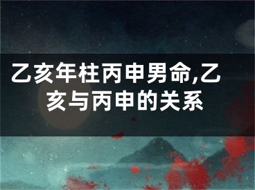乙亥年柱丙申男命,乙亥与丙申的关系