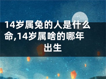 14岁属兔的人是什么命,14岁属啥的哪年出生