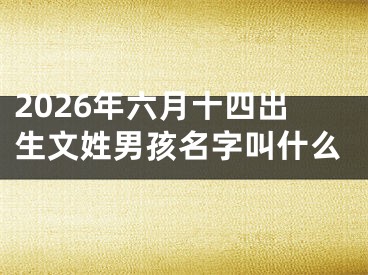 2026年六月十四出生文姓男孩名字叫什么