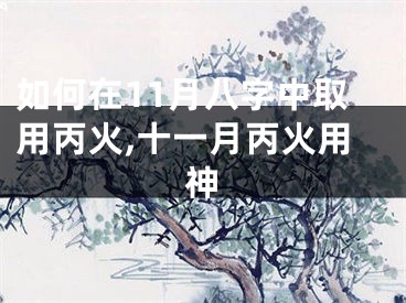 如何在11月八字中取用丙火,十一月丙火用神