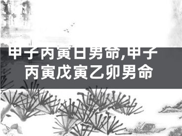 甲子丙寅日男命,甲子丙寅戊寅乙卯男命
