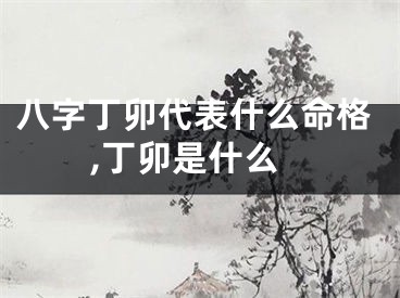 八字丁卯代表什么命格,丁卯是什么