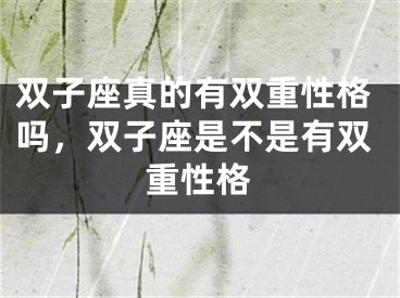 双子座真的有双重性格吗，双子座是不是有双重性格