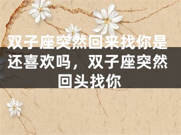 双子座突然回来找你是还喜欢吗，双子座突然回头找你