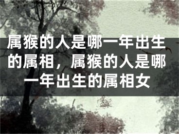 属猴的人是哪一年出生的属相，属猴的人是哪一年出生的属相女