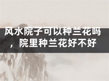 风水院子可以种兰花吗，院里种兰花好不好