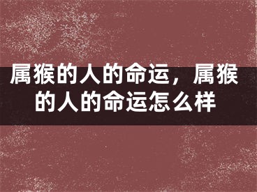 属猴的人的命运，属猴的人的命运怎么样