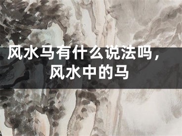 风水马有什么说法吗，风水中的马
