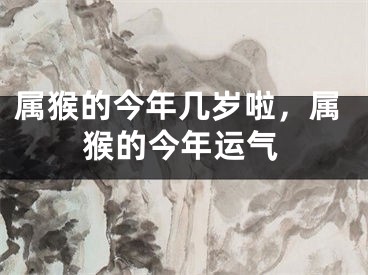 属猴的今年几岁啦，属猴的今年运气