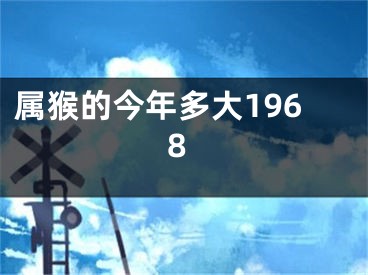 属猴的今年多大1968
