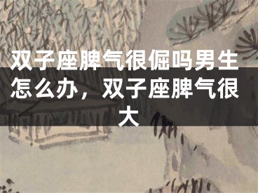 双子座脾气很倔吗男生怎么办,双子座脾气很大