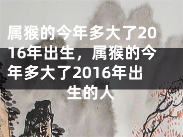 属猴的今年多大了2016年出生，属猴的今年多大了2016年出生的人