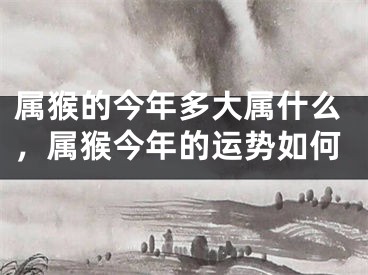 属猴的今年多大属什么，属猴今年的运势如何