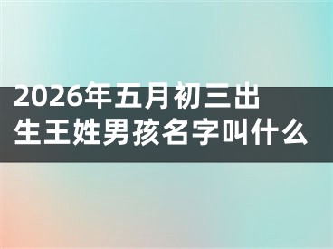 2026年五月初三出生王姓男孩名字叫什么