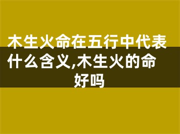 木生火命在五行中代表什么含义,木生火的命好吗