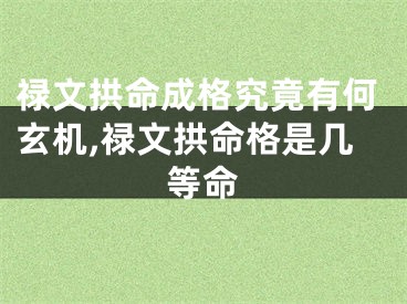 禄文拱命成格究竟有何玄机,禄文拱命格是几等命