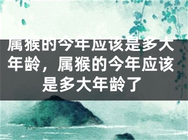 属猴的今年应该是多大年龄，属猴的今年应该是多大年龄了