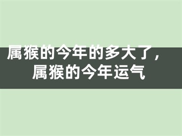 属猴的今年的多大了，属猴的今年运气