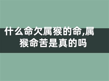 什么命欠属猴的命,属猴命苦是真的吗